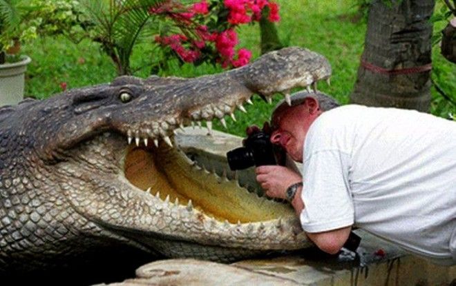 По мнению Novateru это лучший ракурс Фото Medium