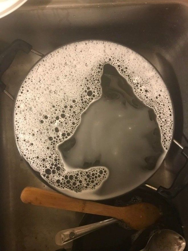 LB20 вещей которые притворяются совсем не тем чем являются