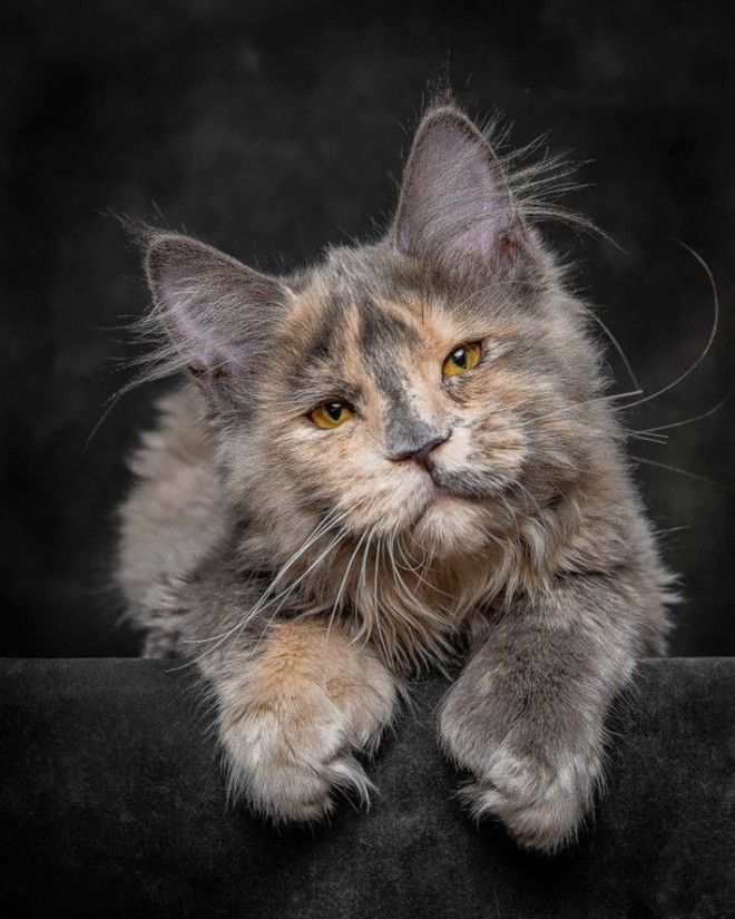 Картинки по запросу