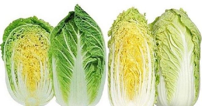 как выбрать пекинскую капусту