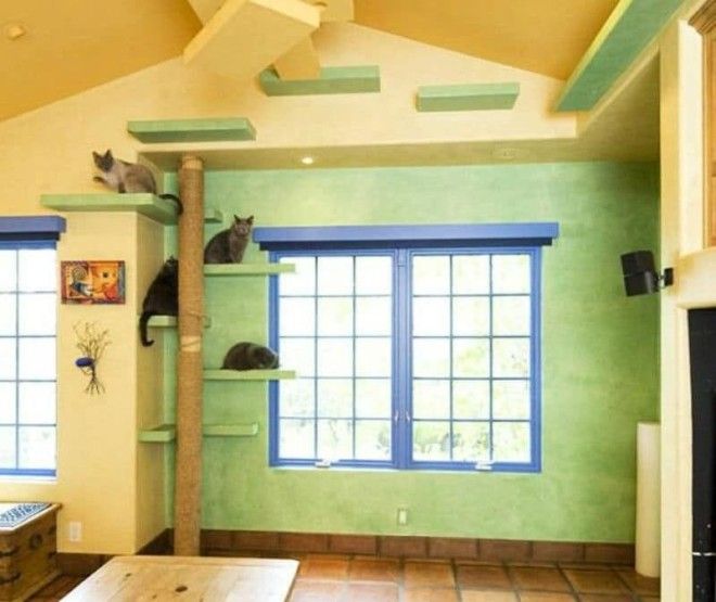 Дом для котов