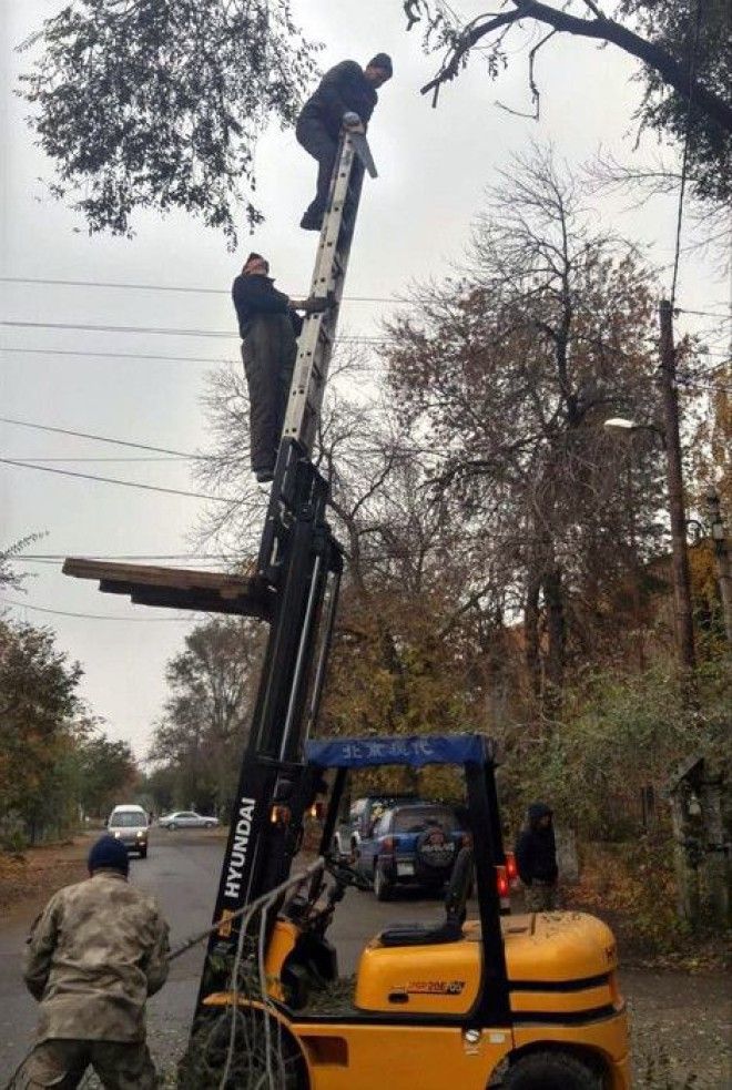 Смотрите онb на этой лестнице уже в очередь выстраиваются Фото Убойнору