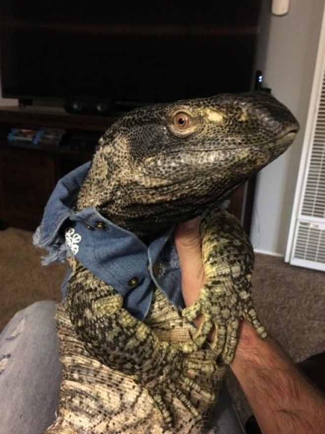 ÐÐ°ÑÑÐ¸Ð½ÐºÐ¸ Ð¿Ð¾ Ð·Ð°Ð¿ÑÐ¾ÑÑ ÐÐ¸Ð²Ð¾ÑÐ½Ð¾Ðµ