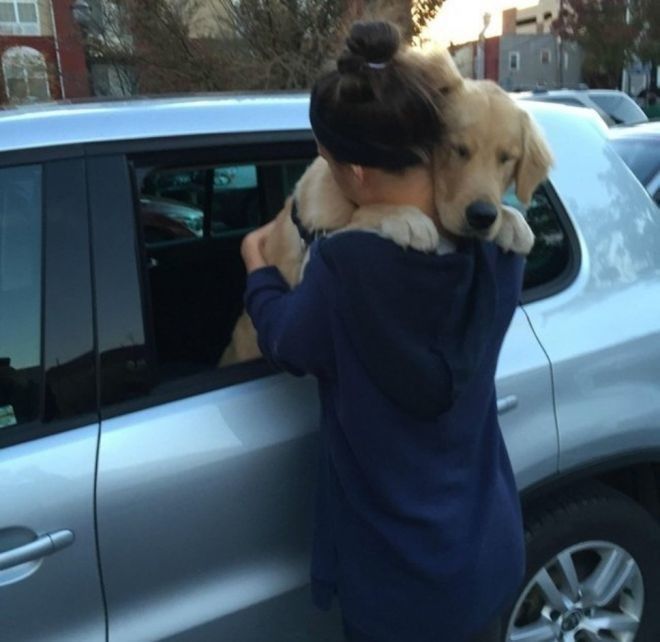 L20 умилительных фото собак которые безгранично любят своих хозяев