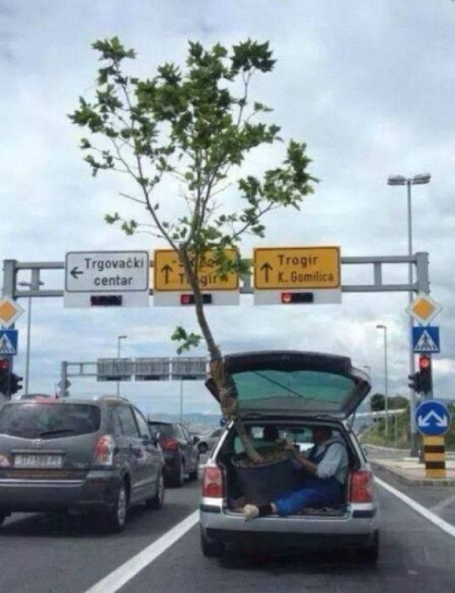 Редакция Novateru искренне надеется что этот парень сумеет отпустить горшок вовремя Фото МирТесен