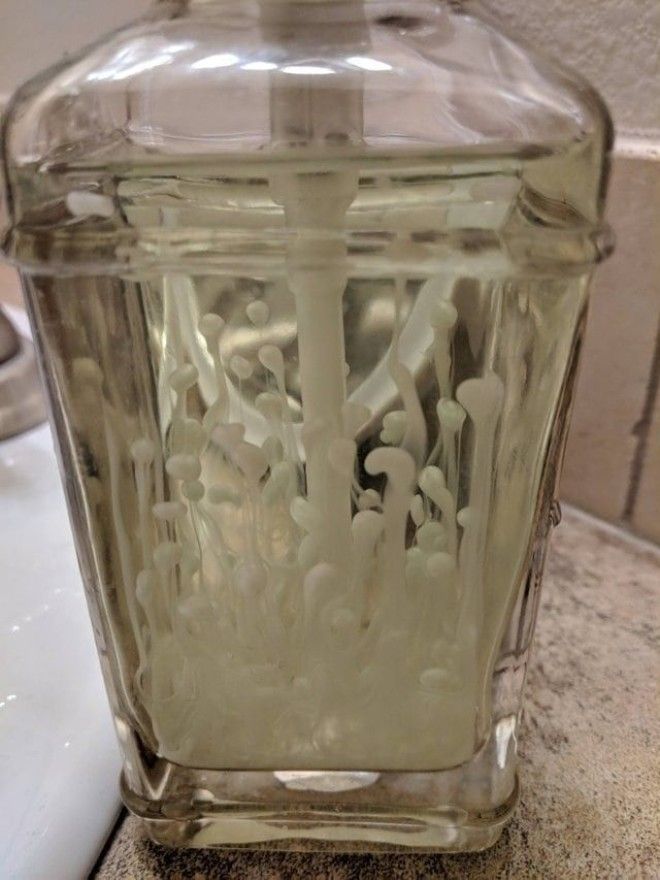 LB20 вещей которые притворяются совсем не тем чем являются