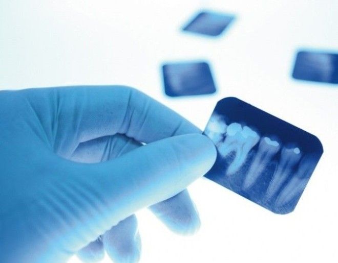 доказательства эволюции в теле человека