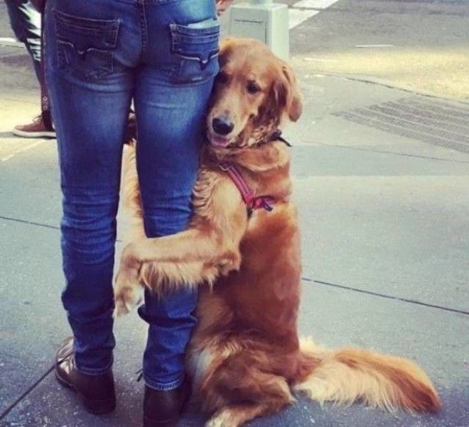 B25 вдохновляющих фотографий которые могут рассказать больше чем слова