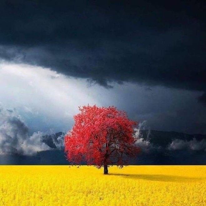 B25 вдохновляющих фотографий которые могут рассказать больше чем слова