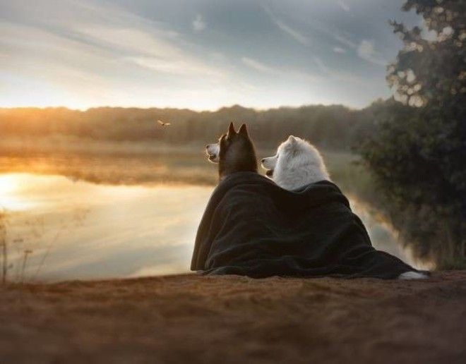 B25 вдохновляющих фотографий которые могут рассказать больше чем слова