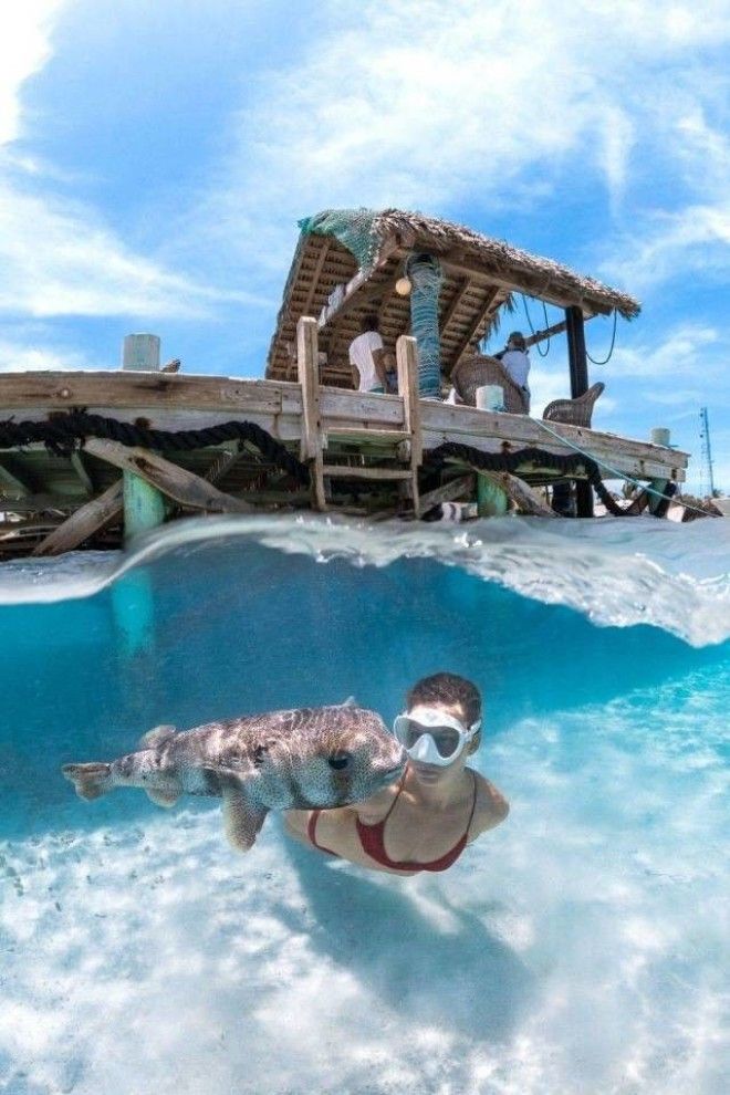 B25 вдохновляющих фотографий которые могут рассказать больше чем слова