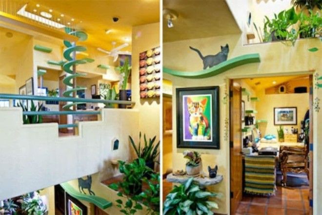 Дом для кошек