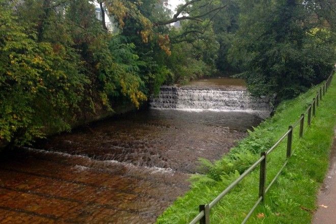 img 14 20180131 1482036132