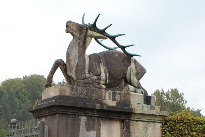 img 5 20180131 1474961797