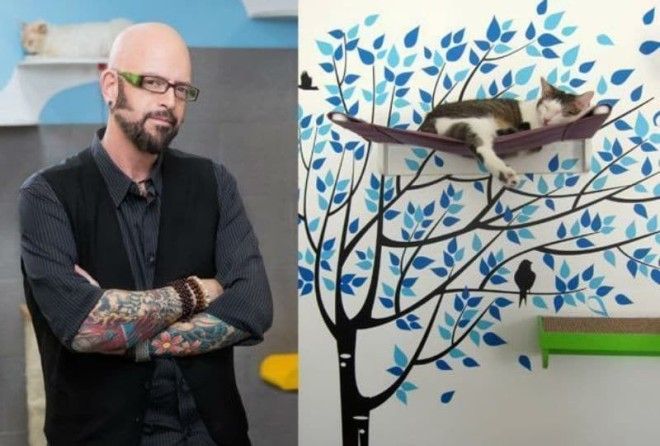 Джексон Гэлэкси и кот