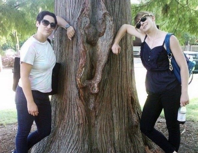 Когда природа разговаривает с нами