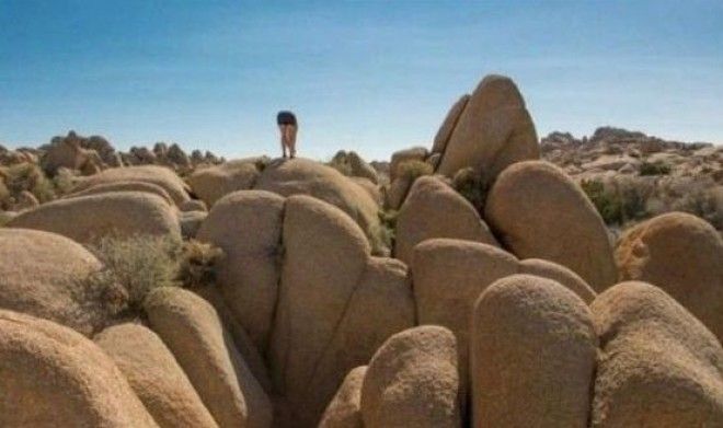 Когда природа разговаривает с нами