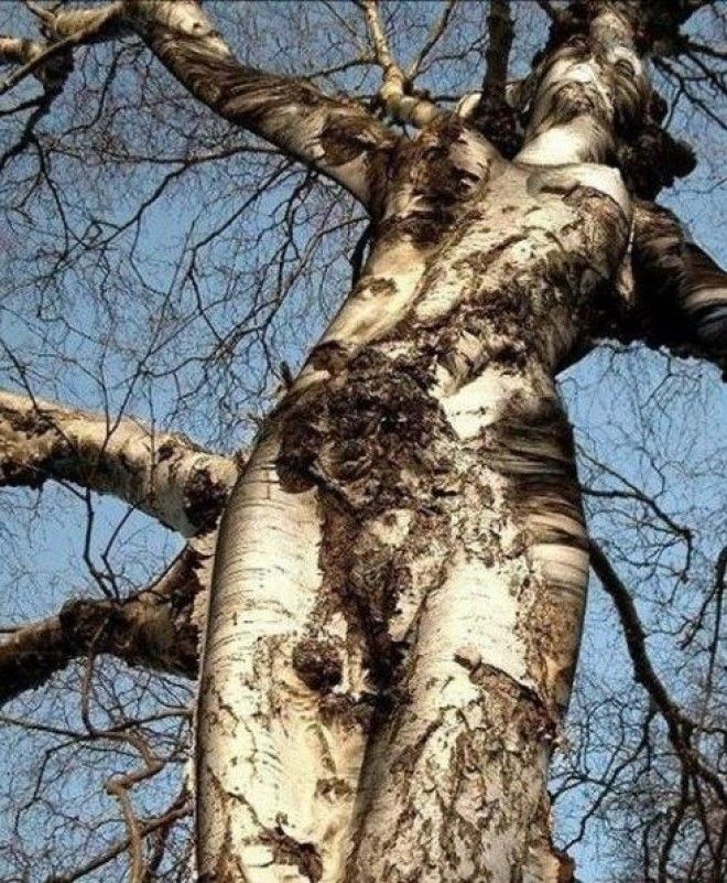 Когда природа разговаривает с нами