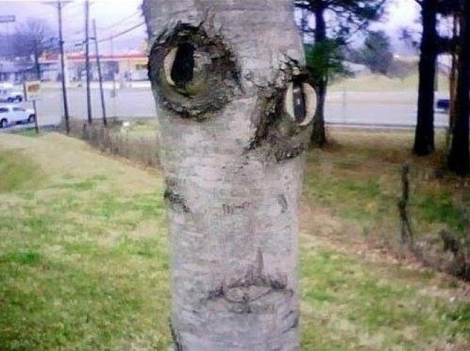 Когда природа разговаривает с нами