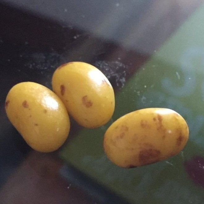 LB20 вещей которые притворяются совсем не тем чем являются