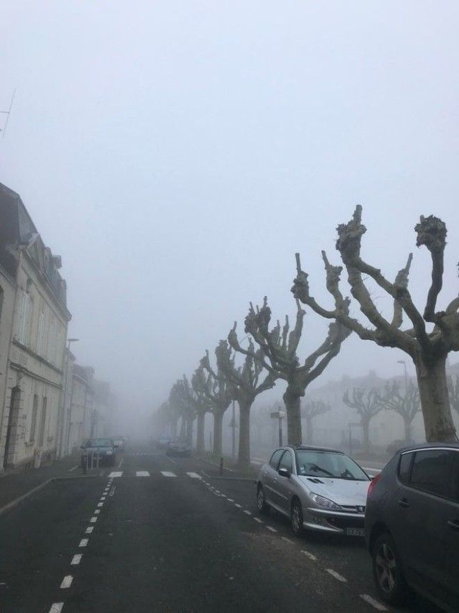 LB20 вещей которые притворяются совсем не тем чем являются