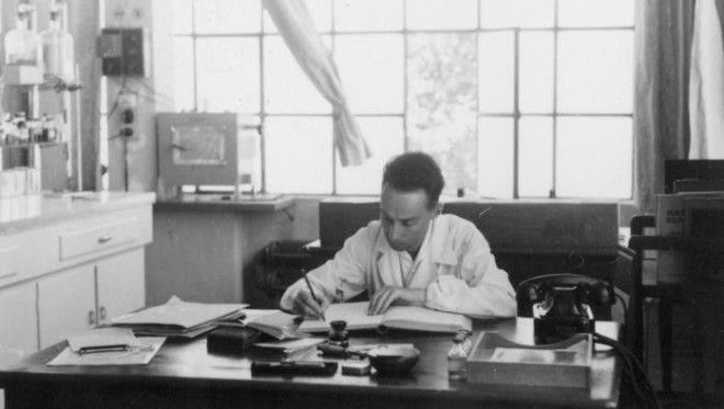 Картинки по запросу