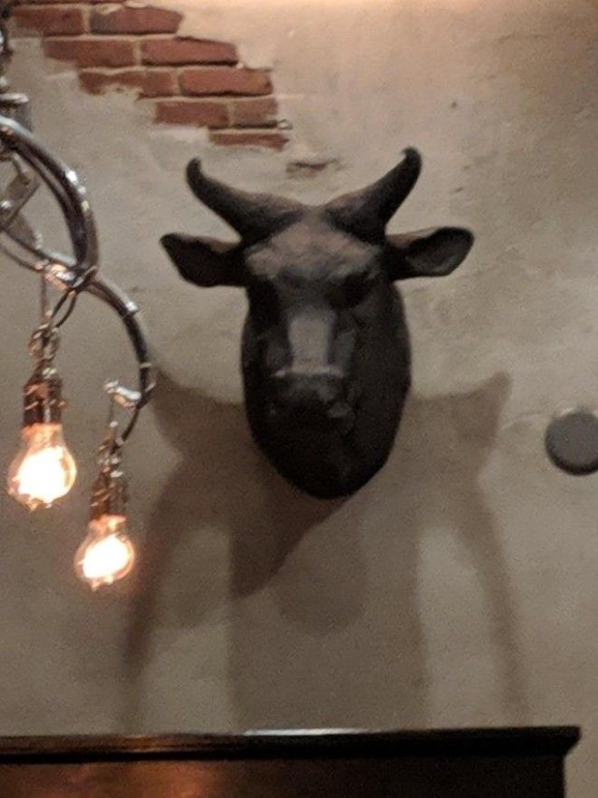 LB20 вещей которые притворяются совсем не тем чем являются