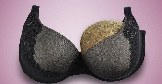 польза и вред лифчика