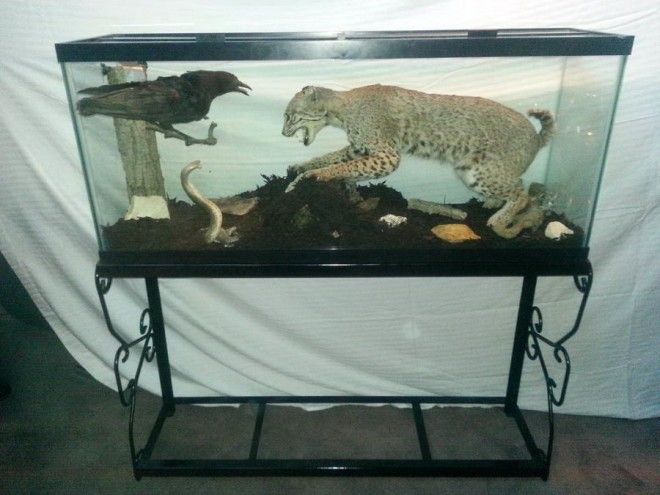 интересные фото на pixmafia.com