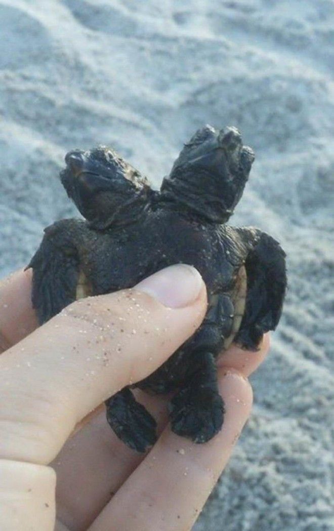 интересные фото на pixmafia.com