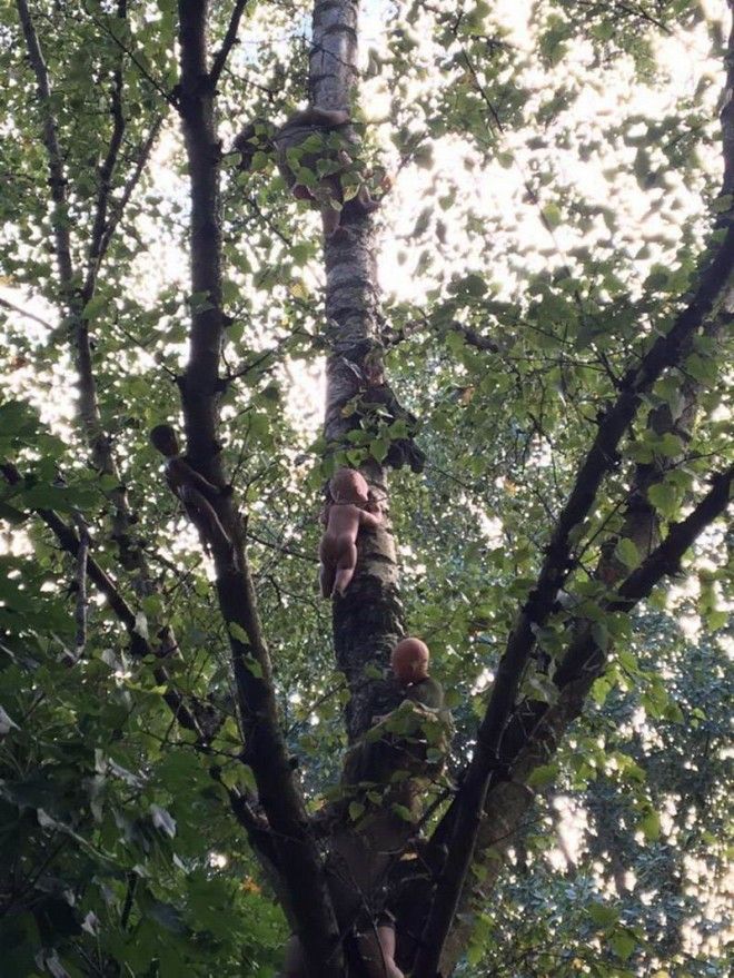 интересные фото на pixmafia.com