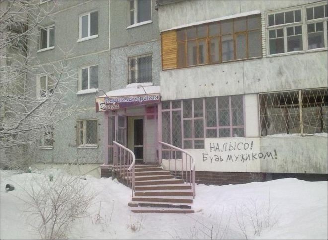 L20 очень веселых фото про парикмахеров и парикмахерские