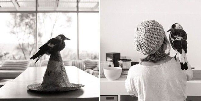 Они спасли его от смерти а он отдал им свое сердце