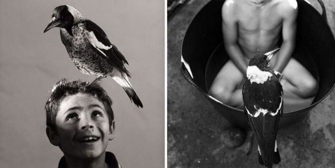 Они спасли его от смерти а он отдал им свое сердце