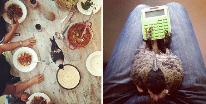 Они спасли его от смерти а он отдал им свое сердце