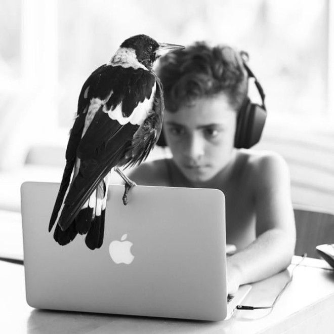 Они спасли его от смерти а он отдал им свое сердце