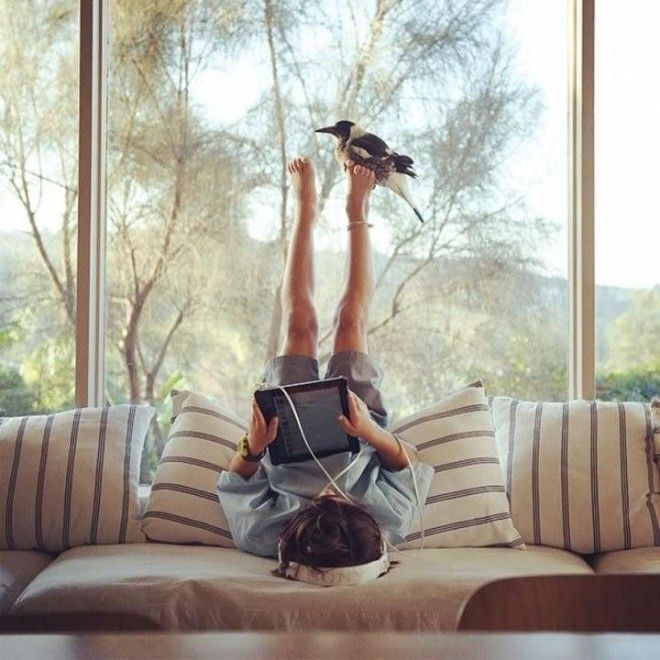 Они спасли его от смерти а он отдал им свое сердце