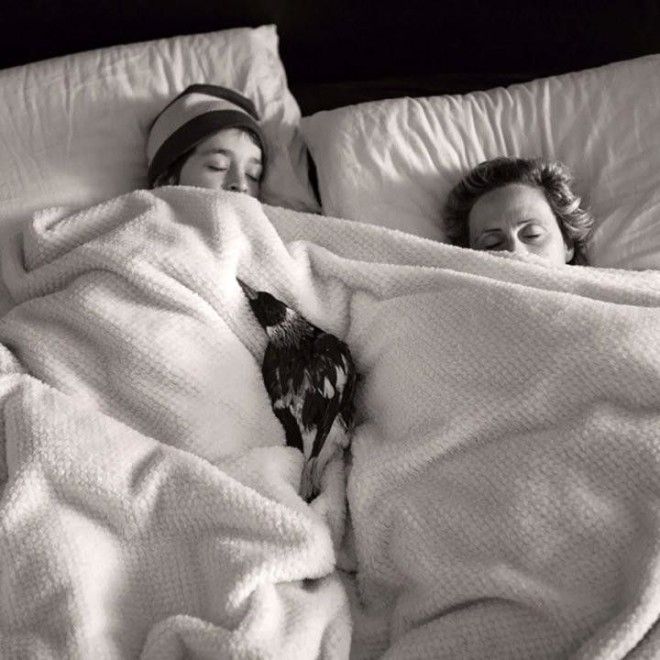 Они спасли его от смерти а он отдал им свое сердце