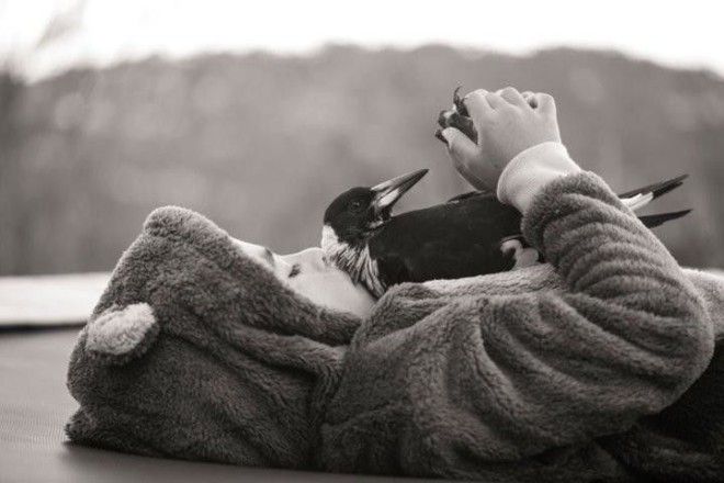 Они спасли его от смерти а он отдал им свое сердце