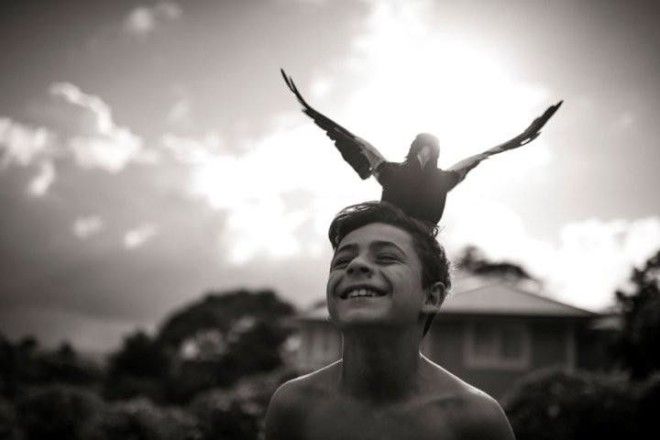 Они спасли его от смерти а он отдал им свое сердце