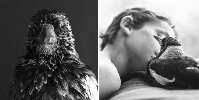 Они спасли его от смерти а он отдал им свое сердце