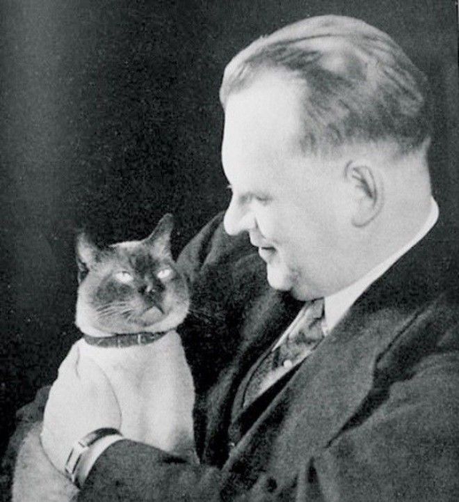 ÐÐ°ÑÑÐ¸Ð½ÐºÐ¸ Ð¿Ð¾ Ð·Ð°Ð¿ÑÐ¾ÑÑ