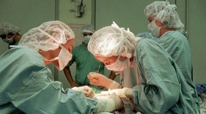 Сумасшедшие судебные иски которые на первый взгляд кажутся вымыслом