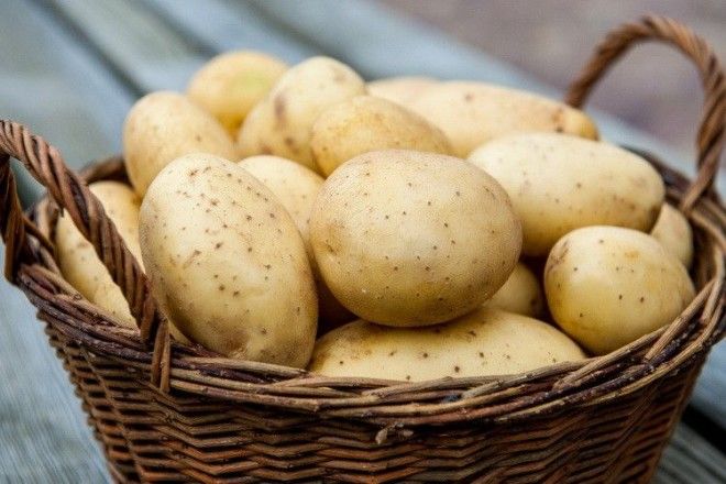 Картофель-популярный продукт