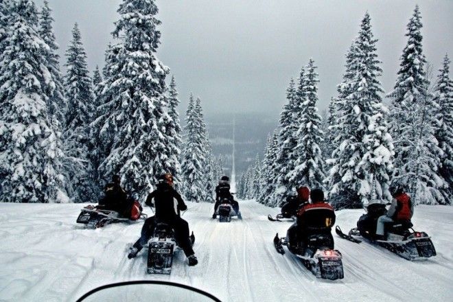 norvegiyashvetsiya