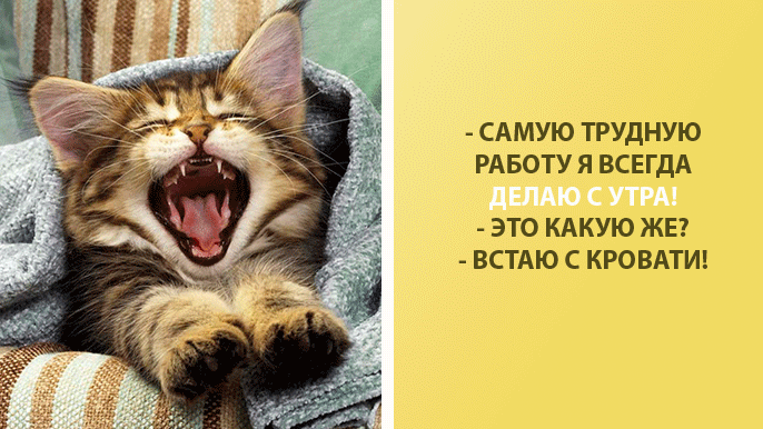 9 смешных и правдивых картинок про утро