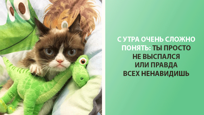 9 смешных и правдивых картинок про утро
