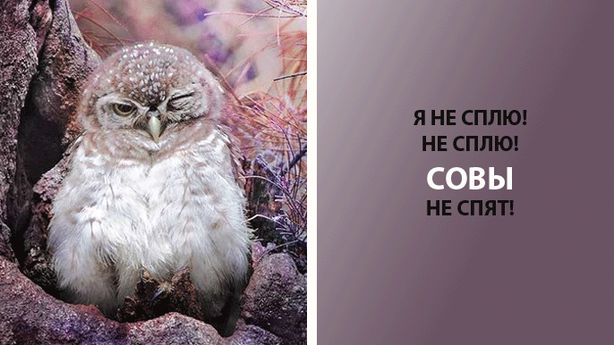 9 смешных и правдивых картинок про утро