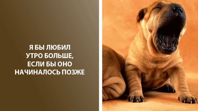 9 смешных и правдивых картинок про утро