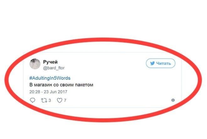 А как бы вы описали свою взрослую жизнь?